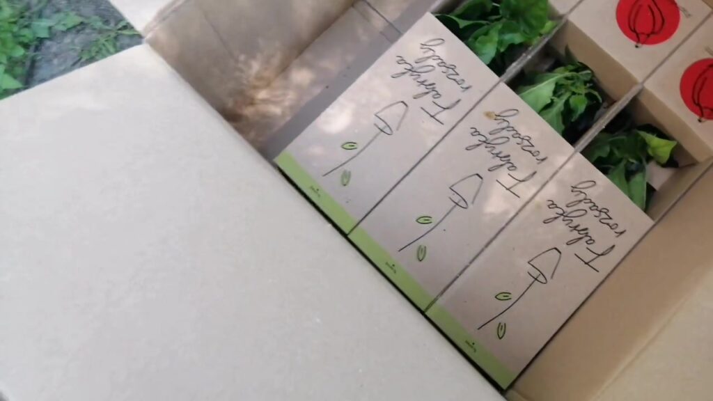 A co to do nas dziś przyszło?