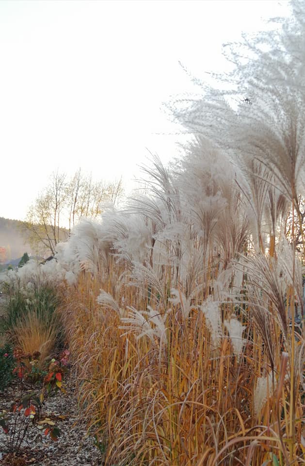 Nishidake już mocno jesienny🍁