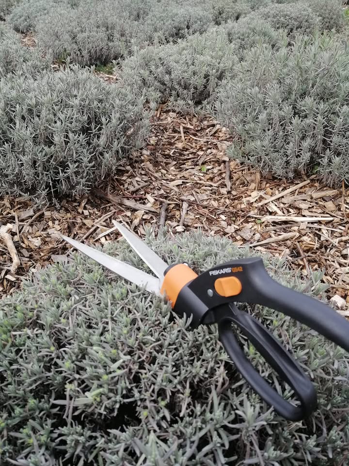 Pogoda nareszcie☀️ więc działamy 😊