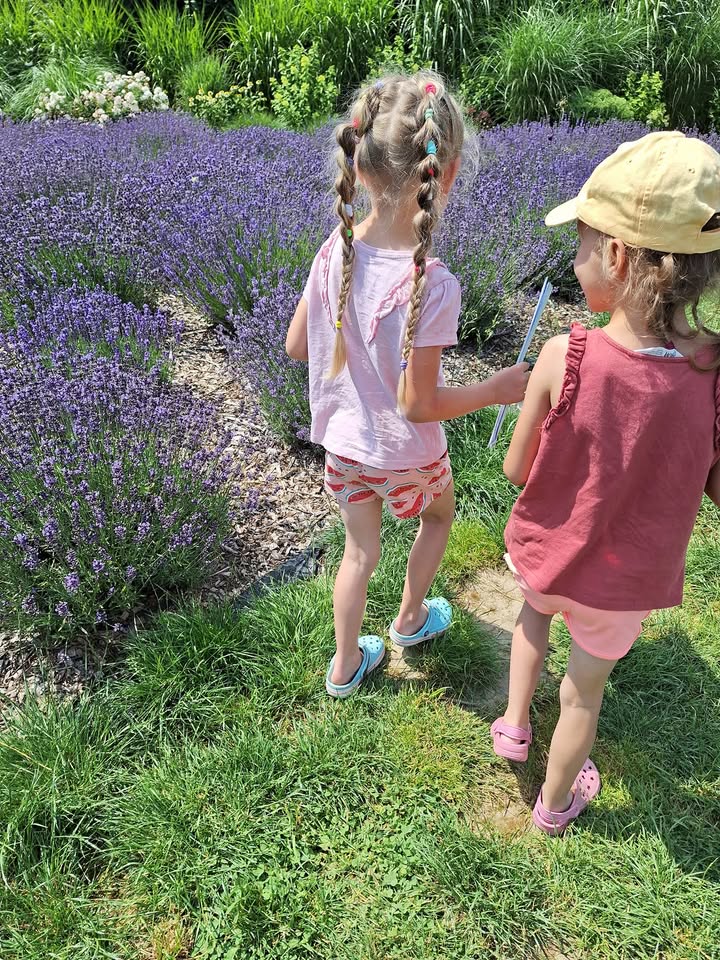 Warsztaty owadzie za nami. Dziękujemy wszystkim odważnym i dzielnym uczestnikom, których n