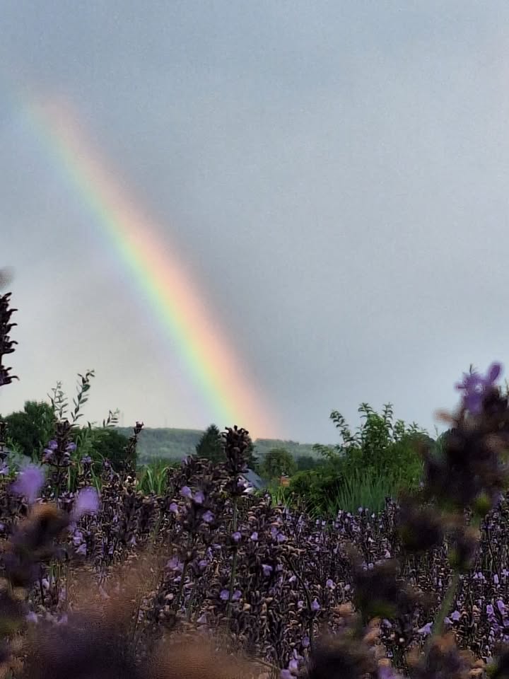 Dziś pewien przesympatyczny Pan przypomniał mi stare powiedzenie - "Na Świętego Hieronima