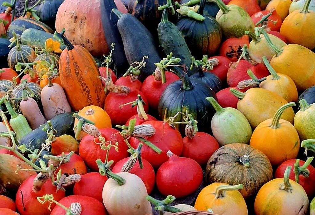 Witajcie o poranku, praca u nas wre pełną parą. Coraz bliżej otwarcia naszej "Dyniowej Far