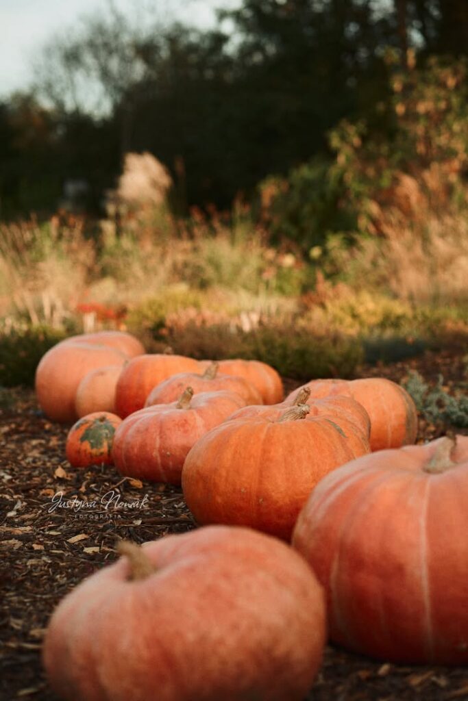 Jesień powitała nas deszczową aurą 🌧☔️, ale mamy nadzieję, że to tylko chwilowe i nowy tyd