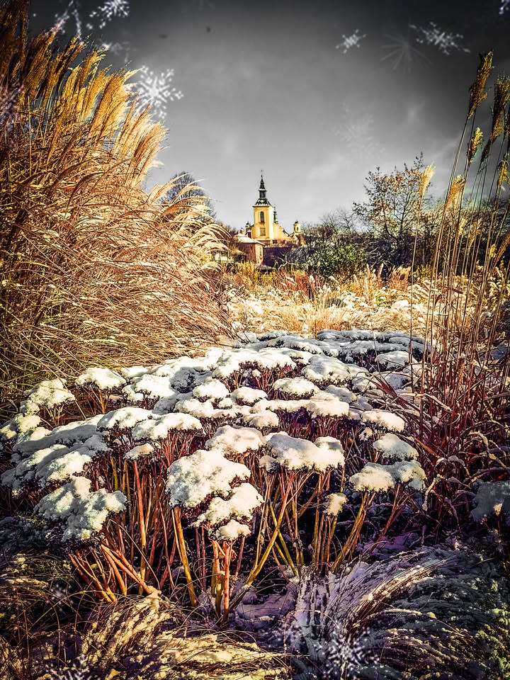 Coraz bardziej zimowo...