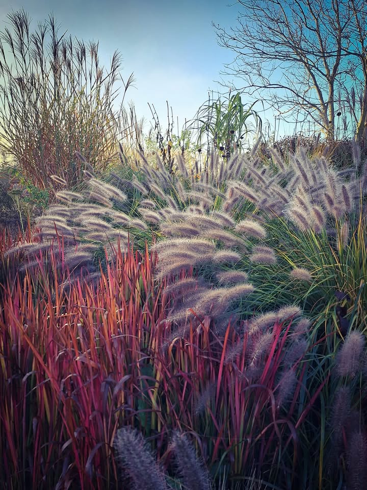 Brrr❄️ poranek dziś zimny ale dzień zapowiada się piękny☀️