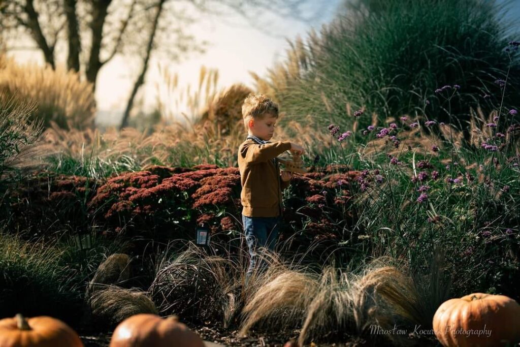 Witajcie w poniedziałkowy poranek. Pogoda zapowiada się dziś piękna ☀️