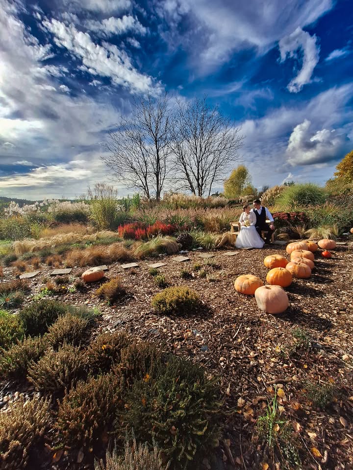 Mglisto i magicznie jest o poranku ale później będzie jeszcze piękniej ☀️ Dziś będzie wspa