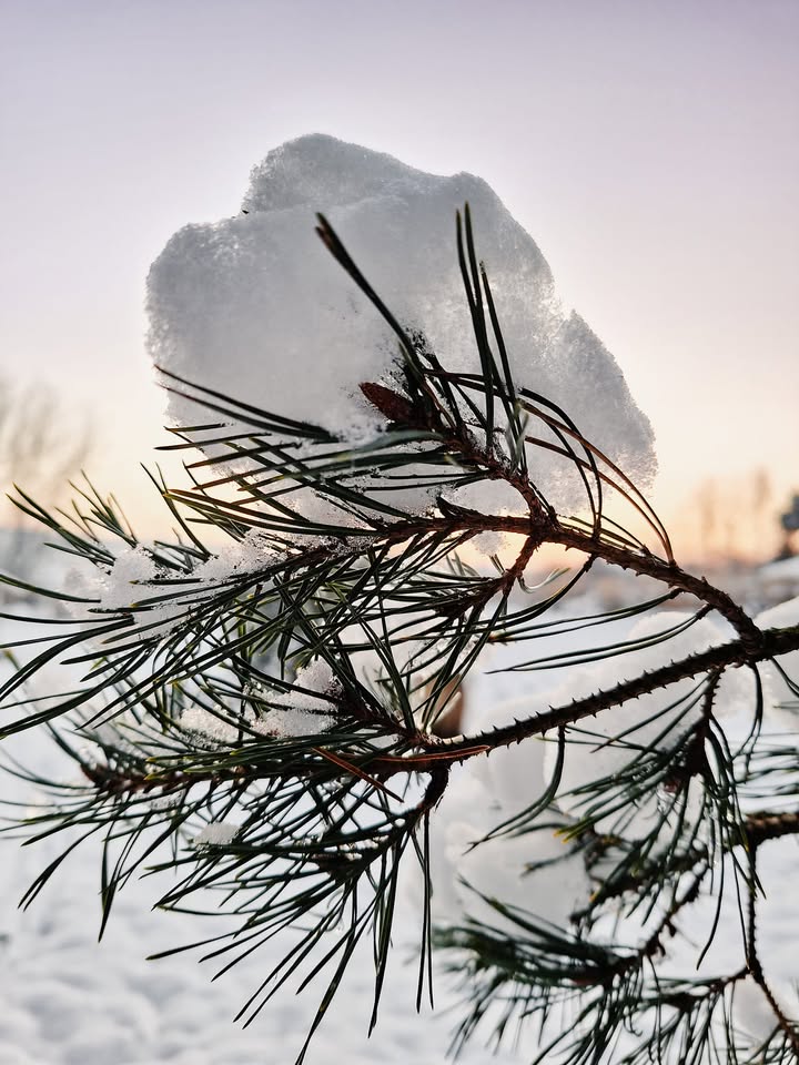 Pada śnieg, puszysty śnieg...