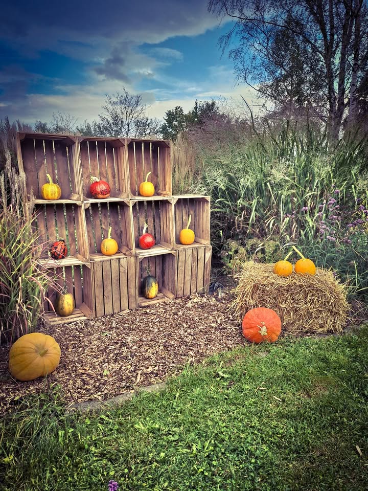 Witajcie, już niedługo widzimy się ponownie - w jesiennej aranżacji 🍁🍂