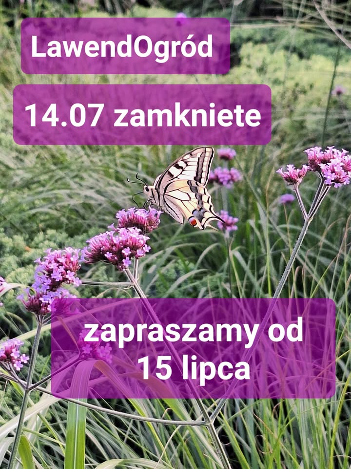 Witajcie, dziś burzowa noc i poranek za nami,⛈️ popołudniu znów maja być burze. Zapraszamy