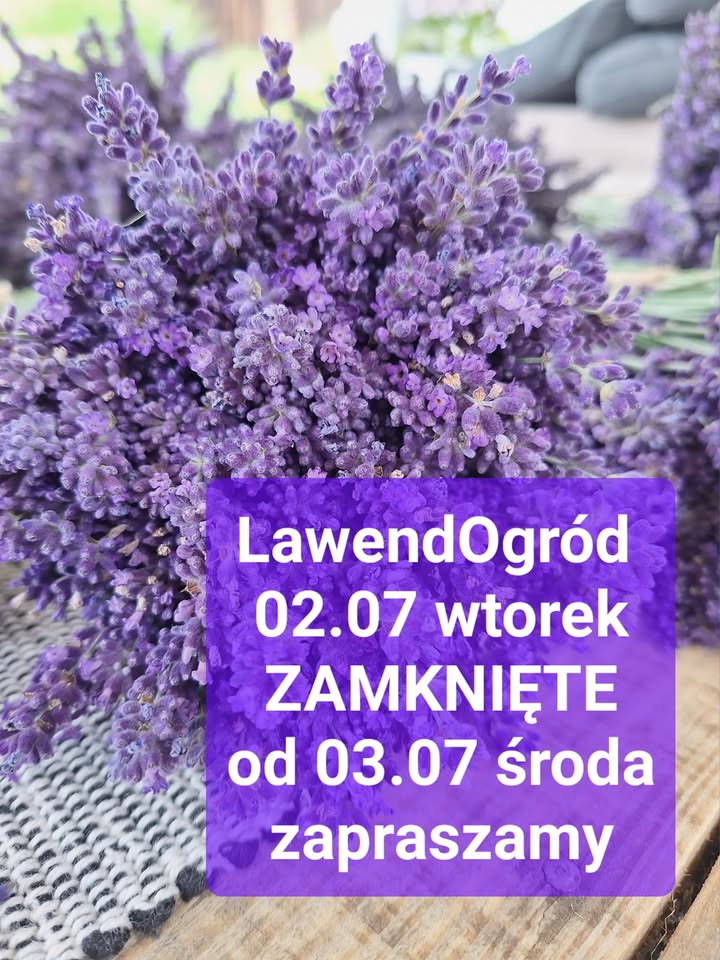 Dziś pochmurno i mokro, zapraszamy jutro 3.07 sroda😊