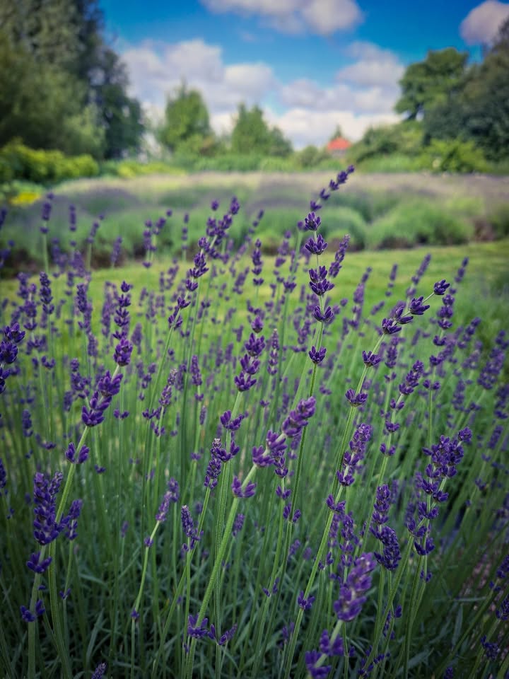 3 - 2 - 1 odliczamy do otwarcia😊