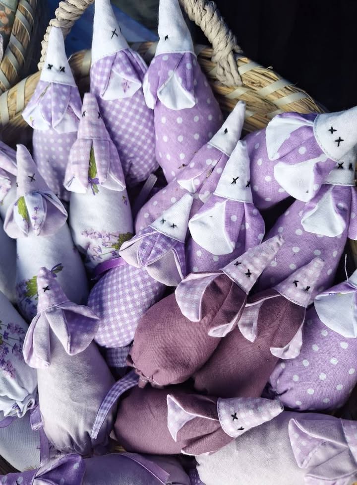 Witajcie, pogoda nas dziś nie rozpieszcza 🌧 ale mamy nadzieję, że wyjdzie w końcu🌞