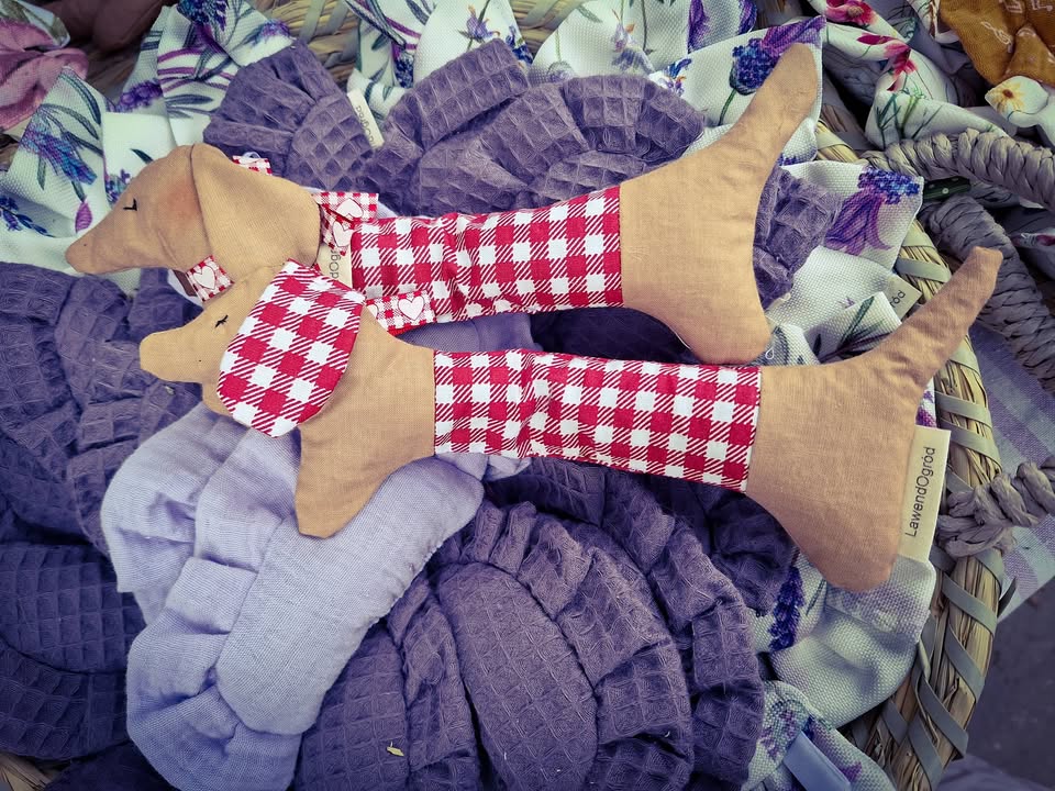 Szczesliwych Walentynek! Jamniczki wracaja do sprzedazy