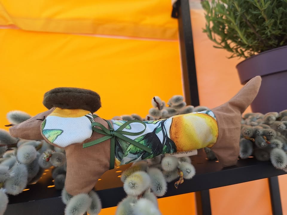 Witamy się dziś z Wami z rynku w Tarnowie 😊