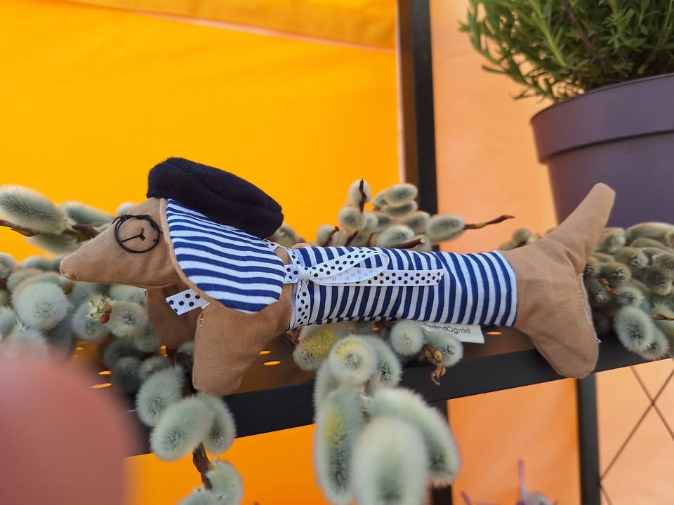 Witamy się dziś z Wami z rynku w Tarnowie 😊