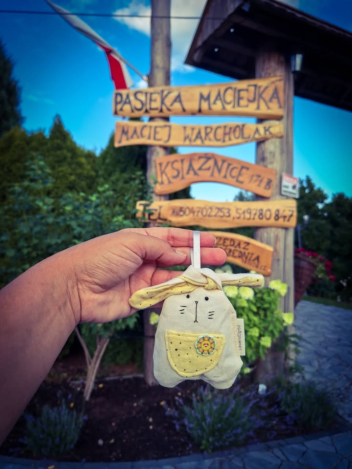 Zapowiada się piękna niedziela! 🌞