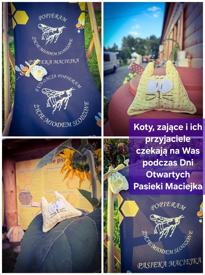 Zapowiada się piękna niedziela! 🌞